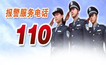 110主题党日活动方案8篇