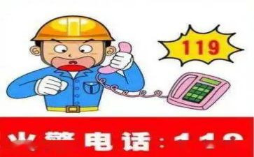 119工作总结范文参考6篇