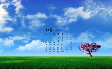 财务12月工作总结7篇