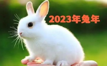 2023舞蹈工作计划5篇