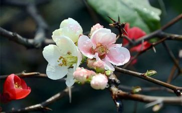 2月工作总结8篇