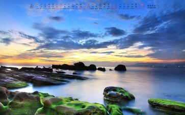 2月工作总结模板5篇