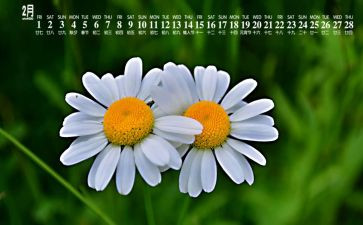 2月工作总结最新8篇