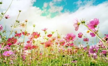 小小班3月份工作计划6篇