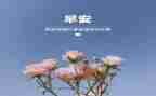 3月工作计划推荐8篇
