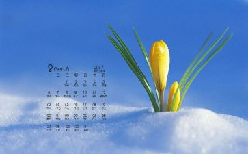 幼儿园3月份工作计划范文7篇