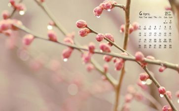 大班下4月份工作总结6篇