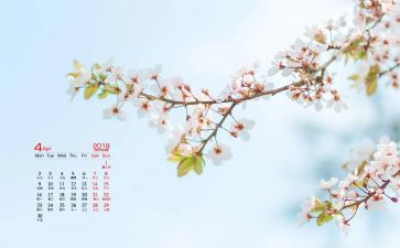 后勤4月份工作计划7篇