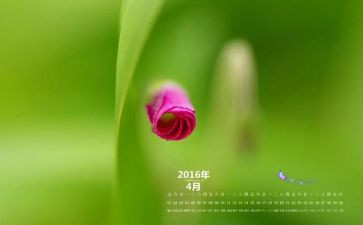幼儿大班4月份工作计划6篇