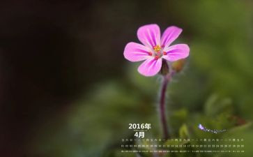 4月份工作总结范文8篇