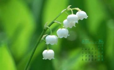 2024年4月活动方案精选7篇