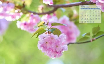 物业4月工作计划8篇