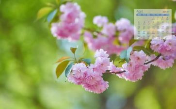 幼儿大班4月工作总结6篇