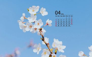 幼儿中班4月份工作计划7篇