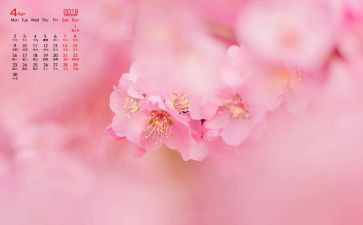 幼儿园小班4月份工作总结8篇
