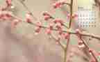 大班下4月份工作总结6篇