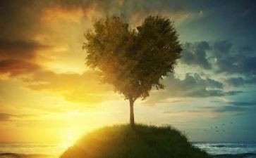 525活动方案最新7篇