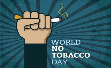 531培训心得体会范文参考7篇