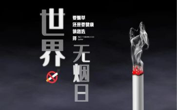 531工作总结精选8篇