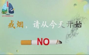 531工作总结优秀7篇
