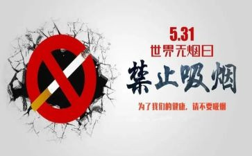 531培训心得体会范文优秀6篇