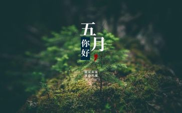 幼儿园5月安全工作计划6篇