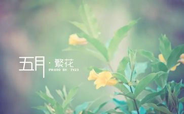中班幼儿5月份工作计划7篇