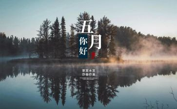 5月活动方案优质5篇