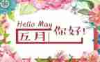 5月活动方案7篇
