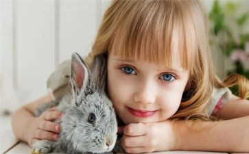 3~6岁发展指南心得优质5篇