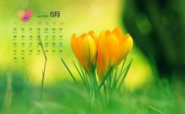 6月份幼儿工作计划5篇