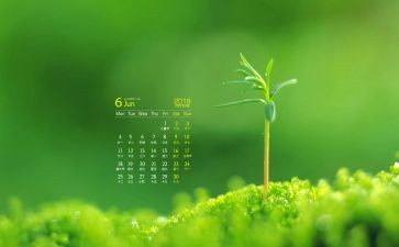 大大班6月工作计划8篇