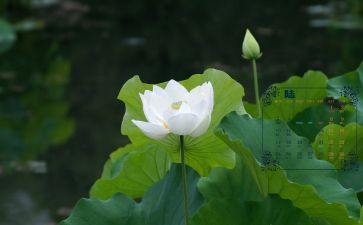 6月份销售工作总结7篇