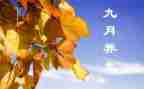 9月份中职班主任工作计划5篇