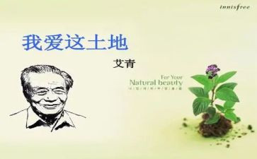 艾青树读后感600字7篇