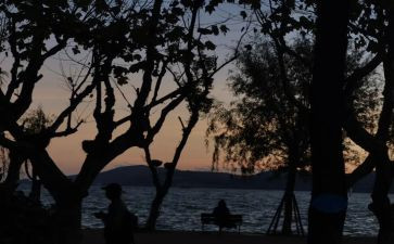 读后感天蓝色的彼岸作文8篇