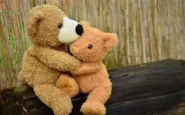 她安慰了我作文600字8篇