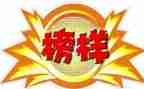 好榜样作文600字6篇