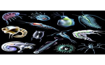 生物组教研活动总结通用7篇