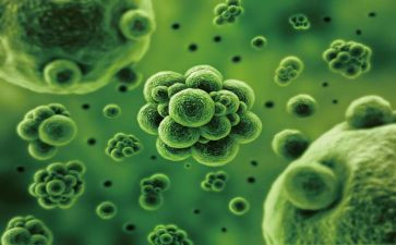 生物的性状教学反思8篇