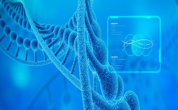 生物调查报告6篇