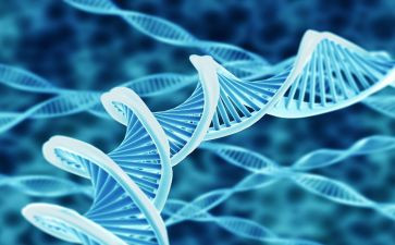 生物教研工作总结5篇