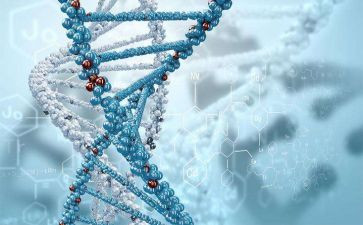 生物年度工作总结优质6篇