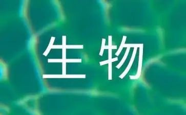 生物组长工作计划5篇