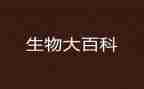 初中生物教师教学计划7篇