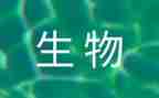 生物组长工作计划5篇