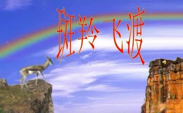 斑羚飞渡读后感5篇