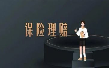 2024年保险个人年终工作总结7篇