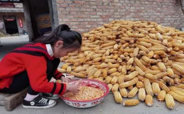 剥玉米皮作文600字6篇