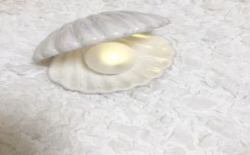 捡贝壳的作文8篇